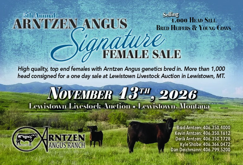 2026 AAR Female Sale image
