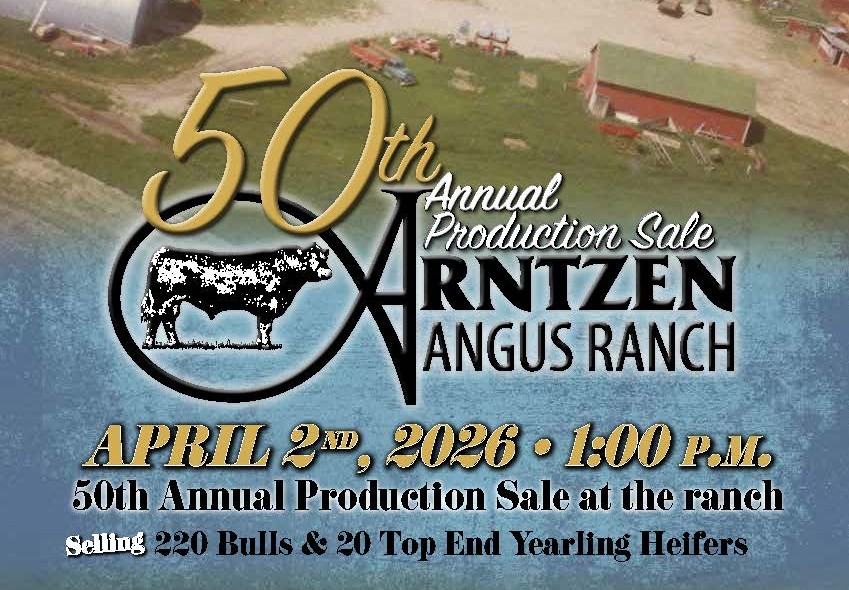 50th sale cover web